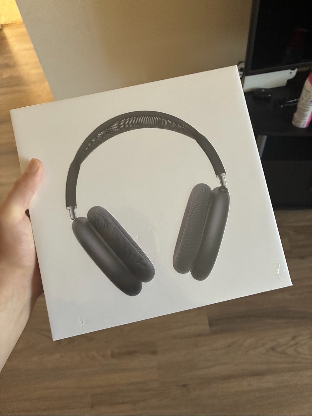 Apple Over-Ear Headphones in Space Gray